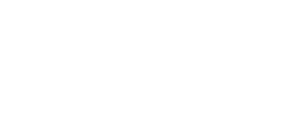 Logo Testowa Budowa Limity sp. z o.o.